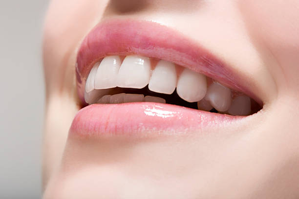 Dental Lab
