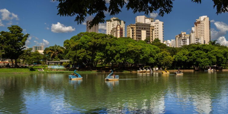Goiânia possui mais de 1 milhão de árvores e é eleita a cidade mais arborizada do mundo