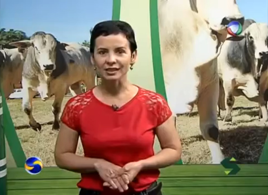 Um pouco da história e das tradições do povoado da Bahiinha GO